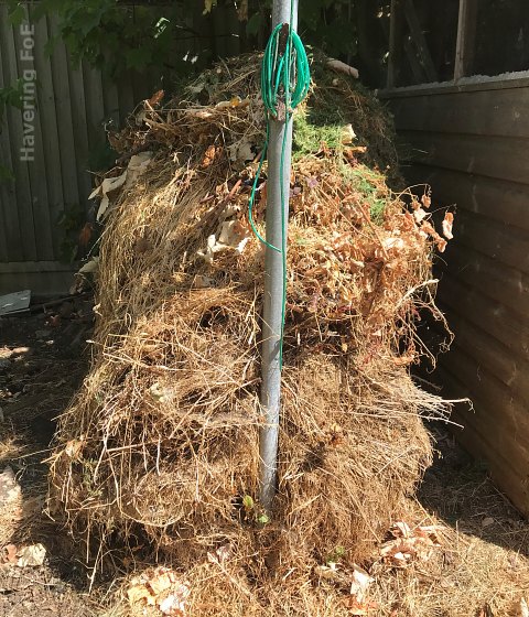 Compost heap