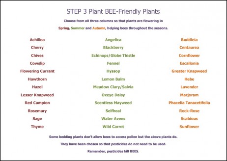 [Bee leaflet inside]